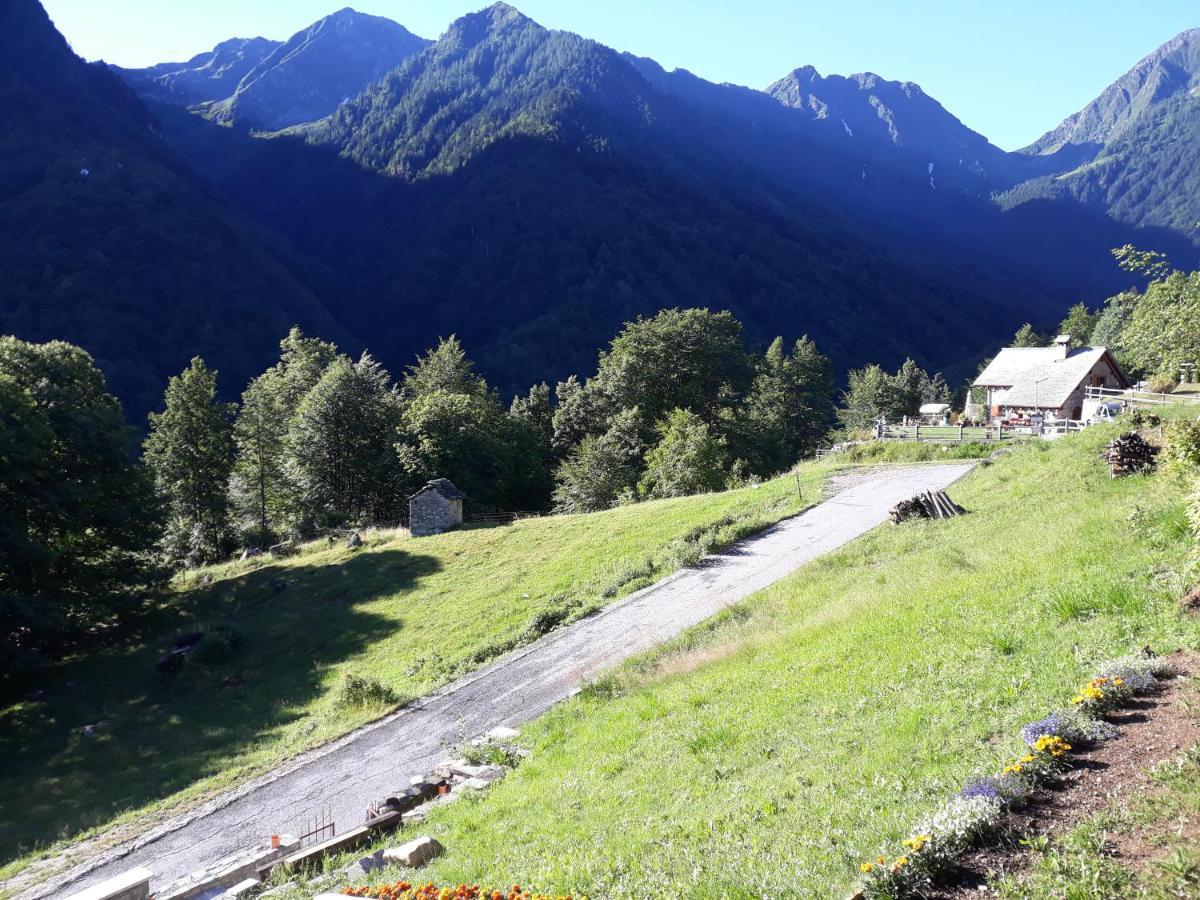 Anzino Casa All'Alpe Gaggetto B & B מראה חיצוני תמונה
