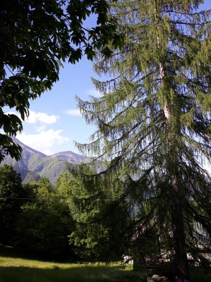 Anzino Casa All'Alpe Gaggetto B & B מראה חיצוני תמונה
