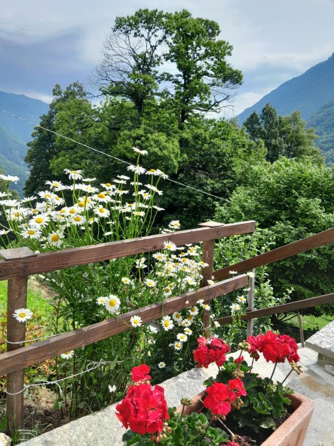 Anzino Casa All'Alpe Gaggetto B & B מראה חיצוני תמונה