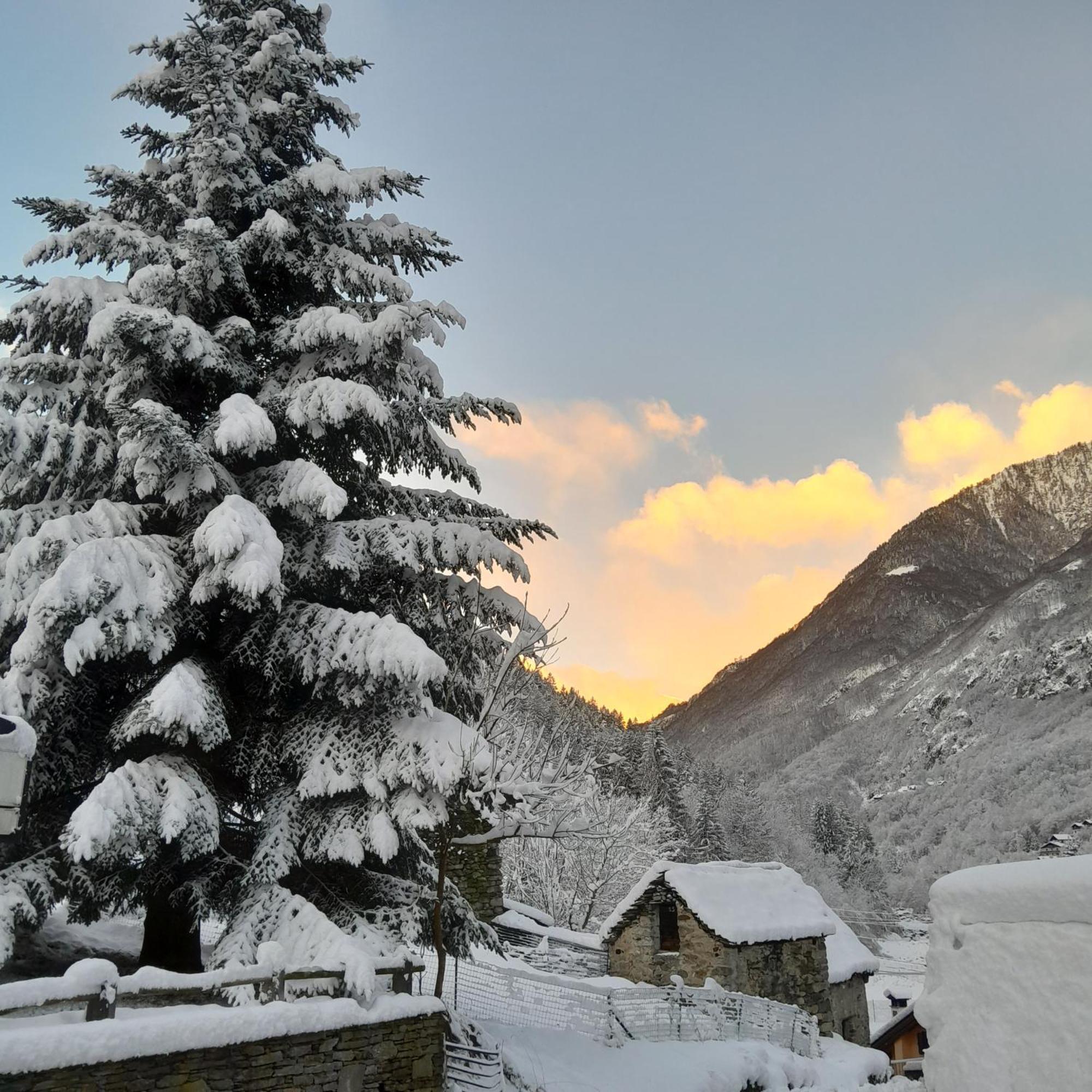 Anzino Casa All'Alpe Gaggetto B & B מראה חיצוני תמונה